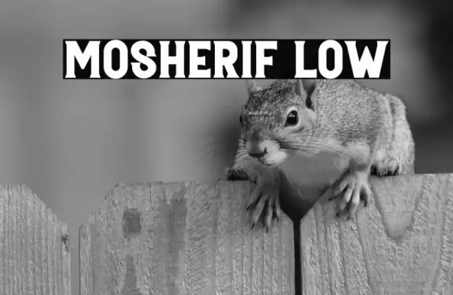 Mosherif Low Font examples