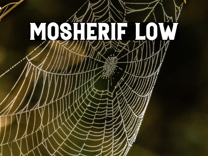 Mosherif Low Example 3