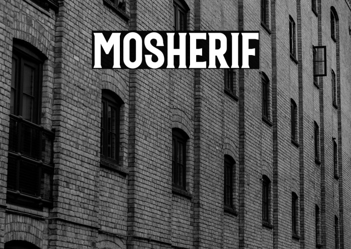 Mosherif Example 1