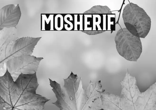 Mosherif Example 2