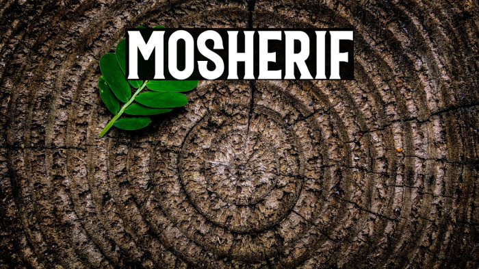 Mosherif Example 3