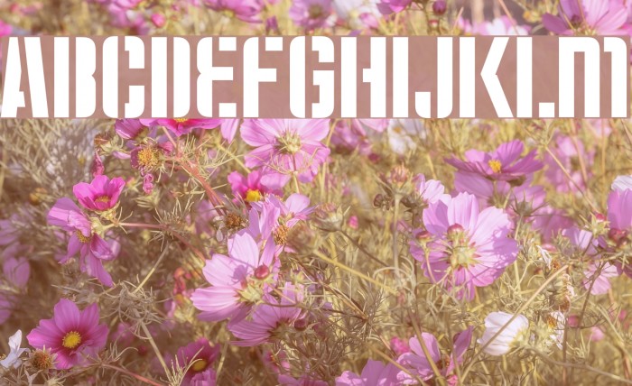 Moshka-Stencil Example 1