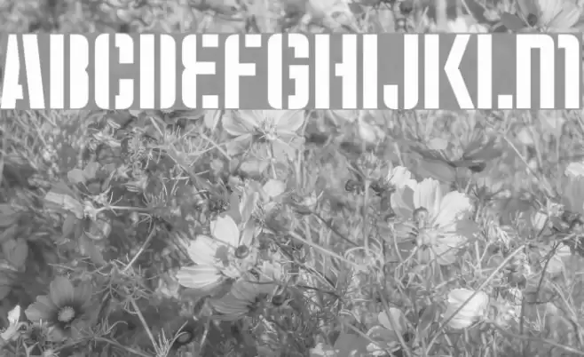 Moshka-Stencil Font examples