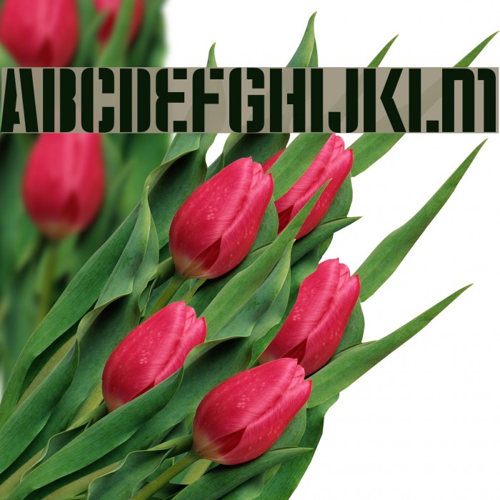 Moshka-Stencil Example 3