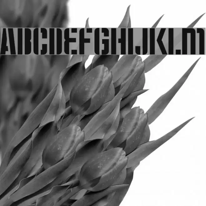 Moshka-Stencil Font examples