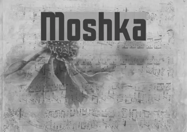 Moshka Example 2