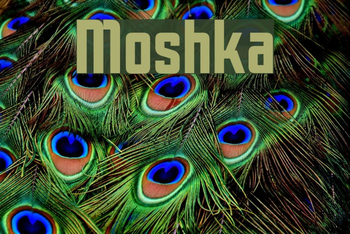 Moshka Font examples