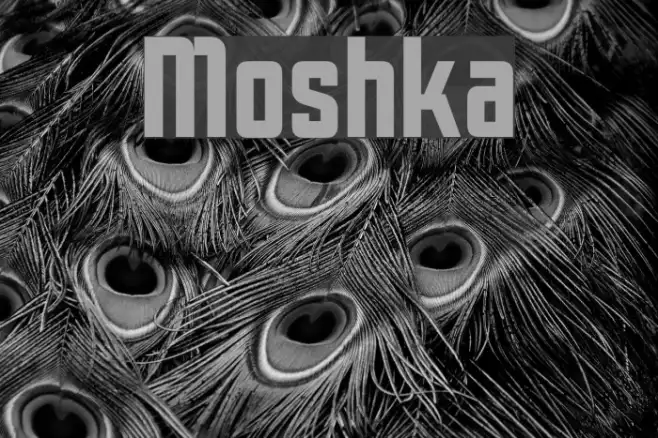 Moshka Example 3