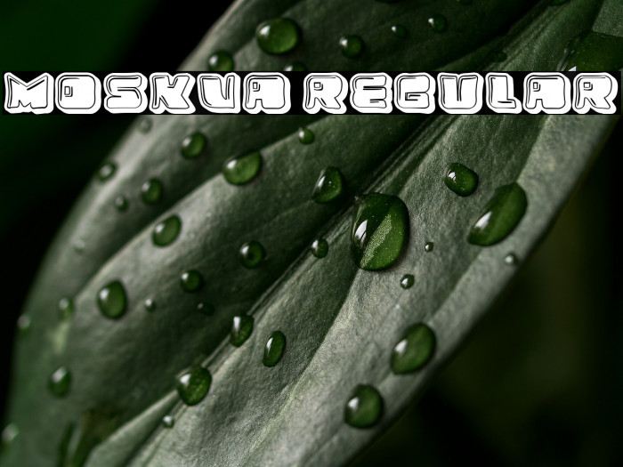 Moskva Regular Example 1