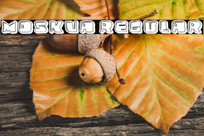 Moskva Regular Example 3