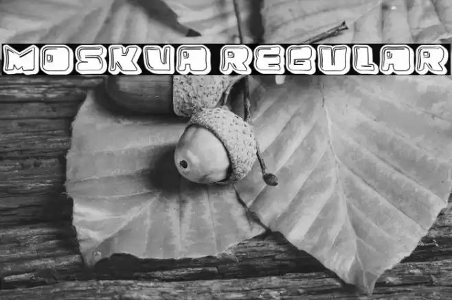 Moskva Regular Font examples