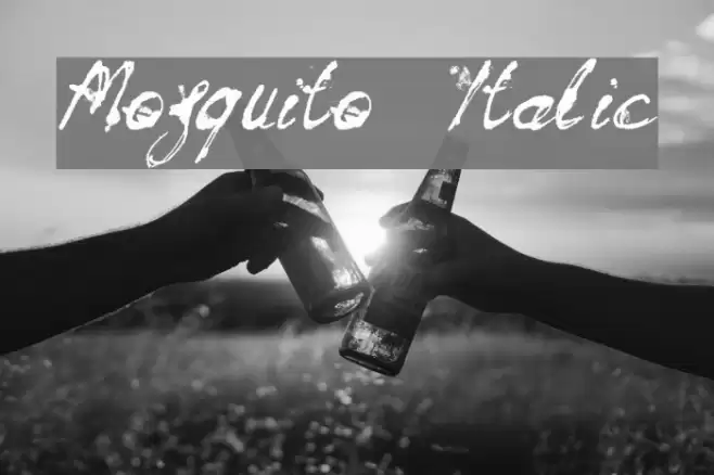 Mosquito Italic Font examples