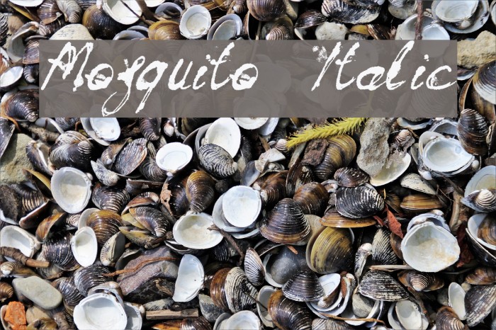 Mosquito Italic Example 2