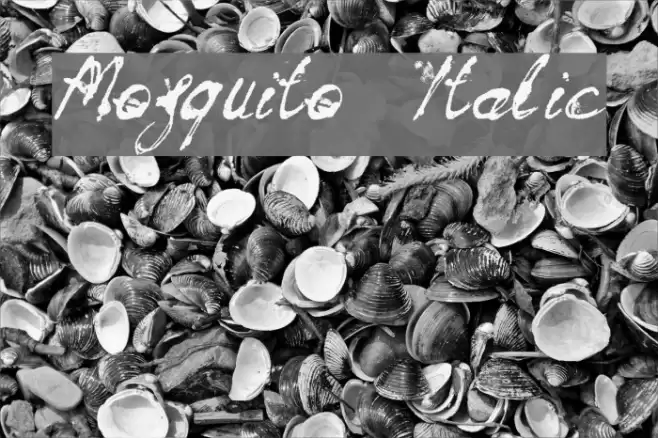 Mosquito Italic Font examples