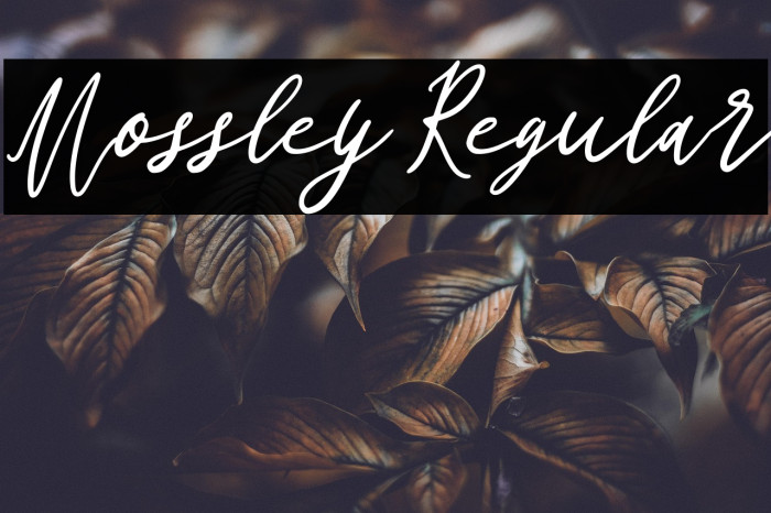 Mossley Regular Example 1