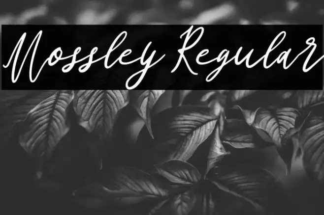 Mossley Regular Example 1