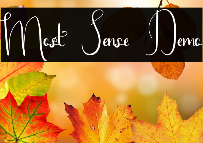 Most Sense Demo Example 1