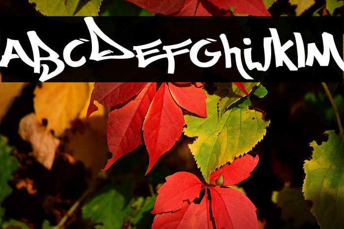 Most Wazted Example 1