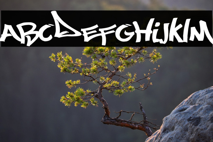 Most Wazted(RUS BY LYAJKA) Example 1