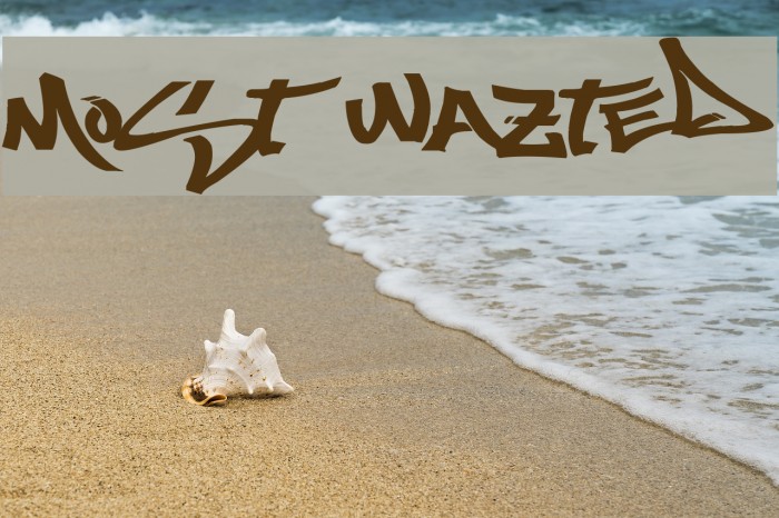 Most Wazted Example 3