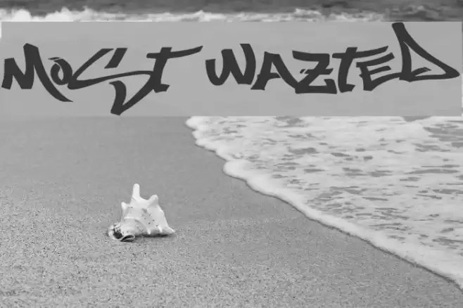 Most Wazted Font examples