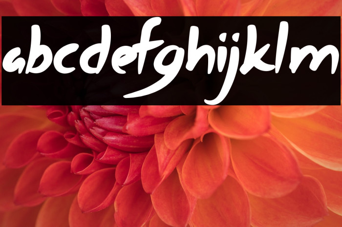 Most Zephyr Example 2