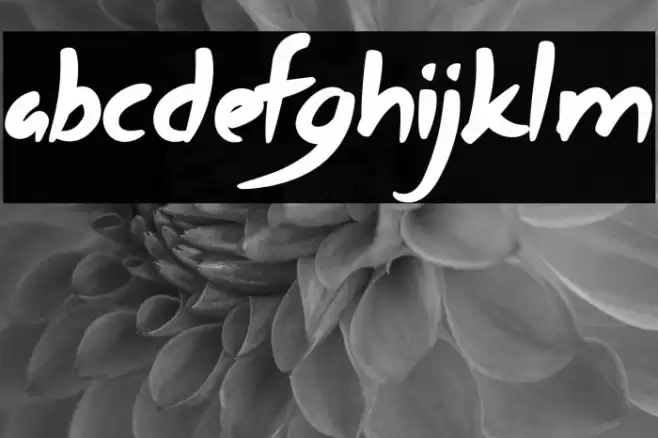 Most Zephyr Font examples