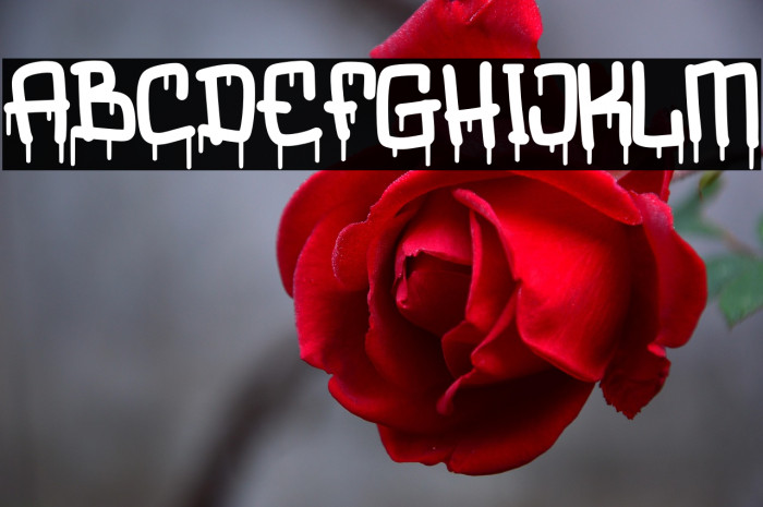 Mostbreak Personal Use Example 3