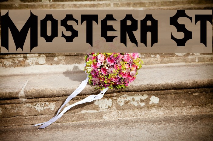 Mostera St Example 1