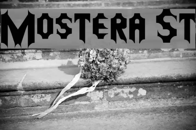 Mostera St Font examples