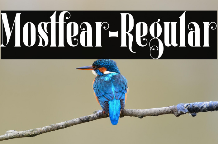 Mostfear-Regular Example 3