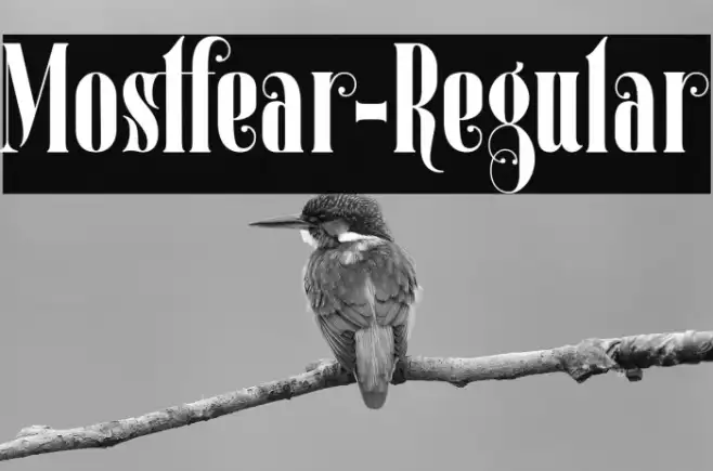 Mostfear-Regular Example 3