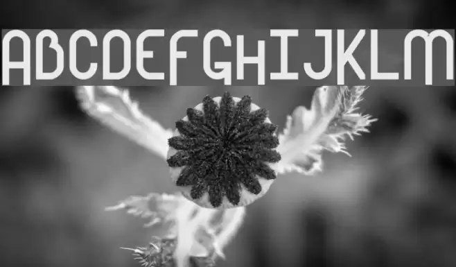 Mostios Font examples