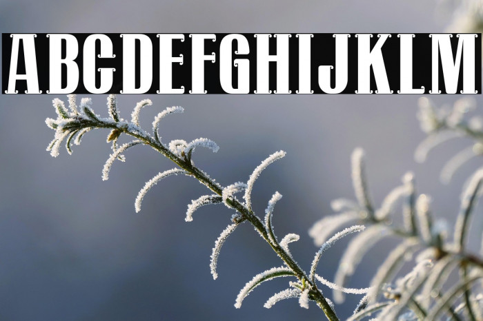 Mostlatest Personal Use Example 1