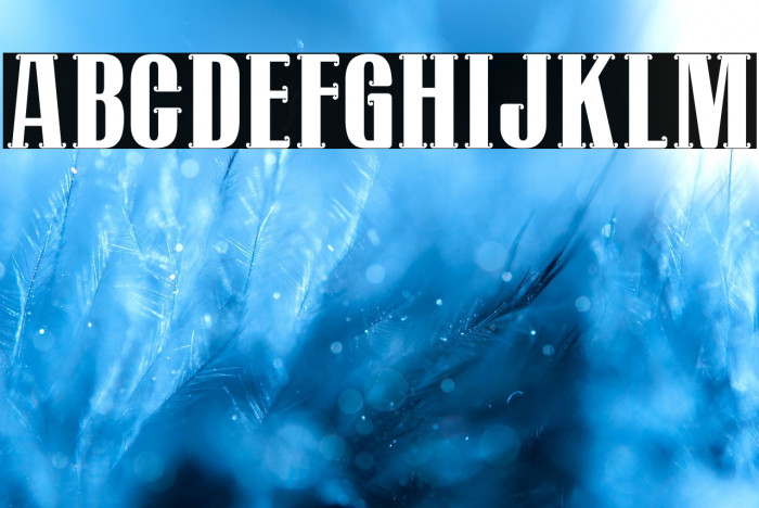 Mostlatest Personal Use Example 2