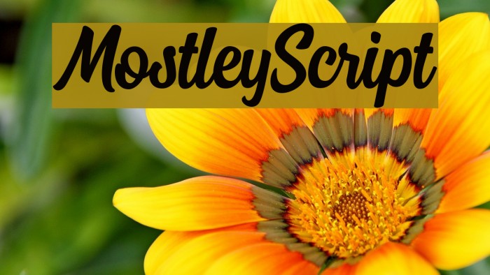 MostleyScript Example 2