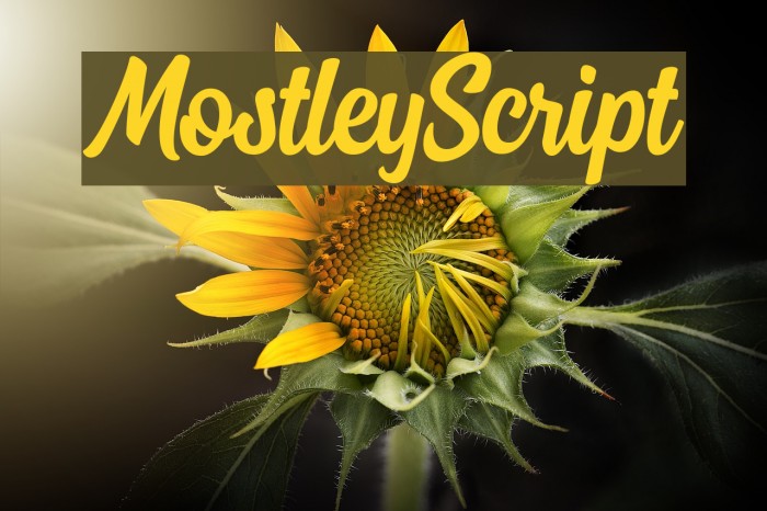 MostleyScript Example 3