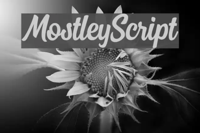 MostleyScript Font examples