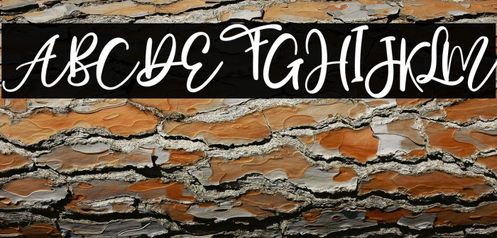 Mostly Bonny Example 2