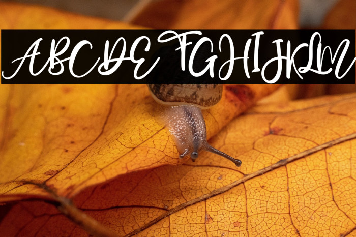 Mostly Bonny Example 3