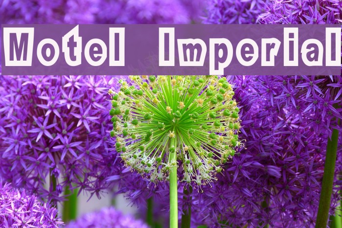Motel Imperial Font examples