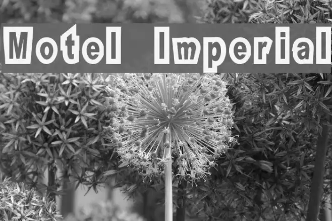 Motel Imperial Example 1