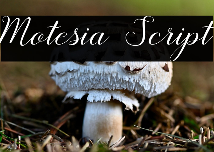 Motesia Script Example 2