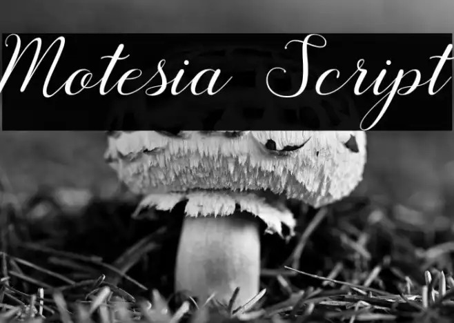 Motesia Script Example 2