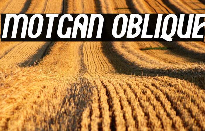 Motgan Oblique Example 2