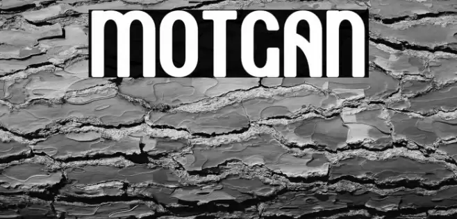 Motgan Font examples