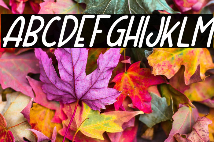 Mother Bear Italic Example 1