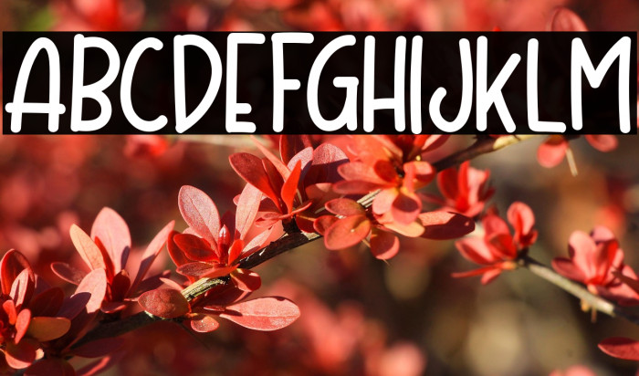 Mother Bear Example 3