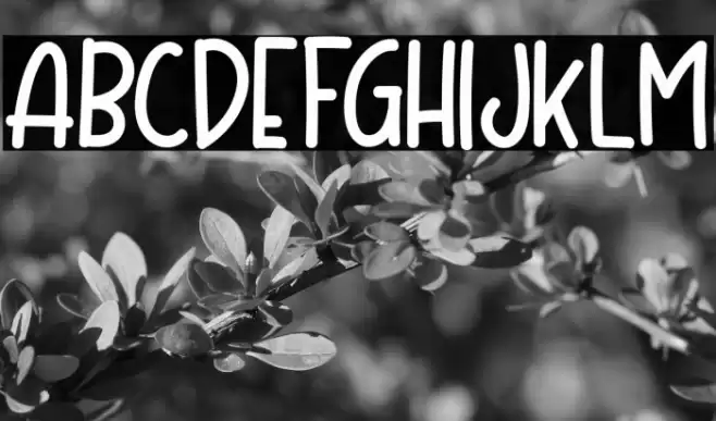 Mother Bear Font examples