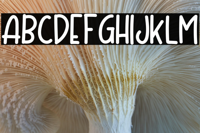 Mother Bear Example 3